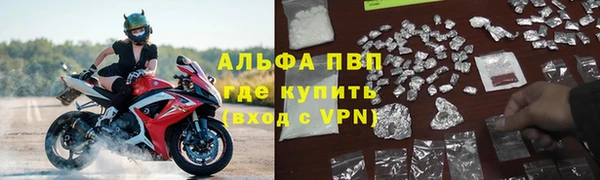 сатива Медногорск