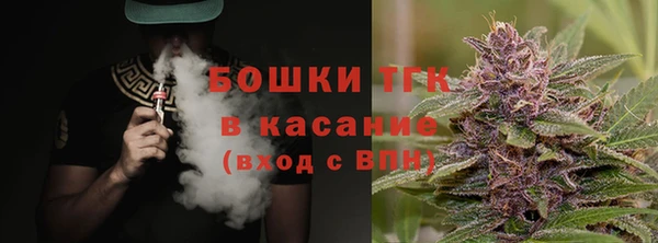 сатива Медногорск
