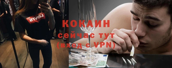 сатива Медногорск
