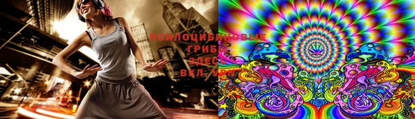 бошки Медвежьегорск