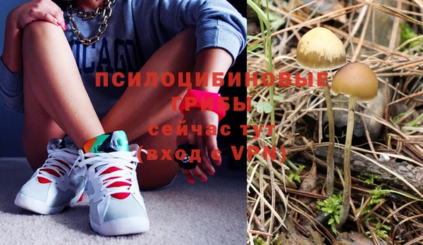 мескалин Мегион