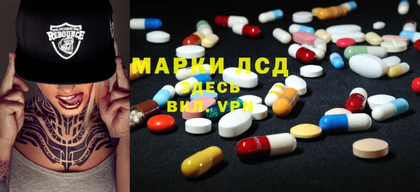 сатива Медногорск