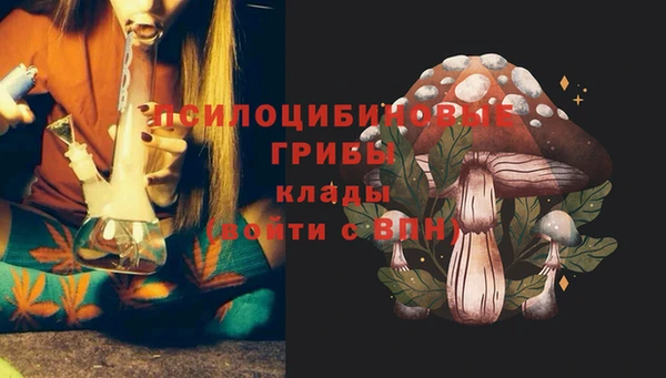 мескалин Мегион
