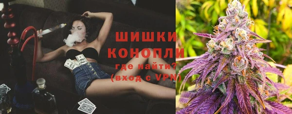 сатива Медногорск